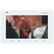 Slinex SM-07N Cloud 7" дюймов white Видеодомофон